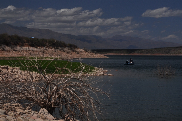 Lake Roosevelt's Cholla Rec Site